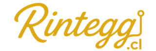 Rintegg SpA - Asesoría Informática Estratégica