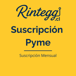 Rintegg Partner – Suscripción Mensual Plan Pyme