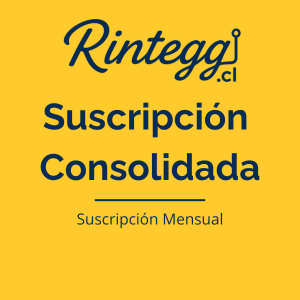 Rintegg Partner – Suscripción Mensual Plan Consolidada