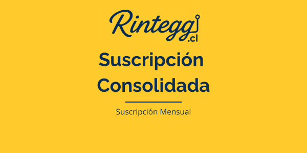 Rintegg Partner – Suscripción Mensual Plan Consolidada